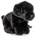 Labrador puppy (black), with leash - cuddly/plush toy