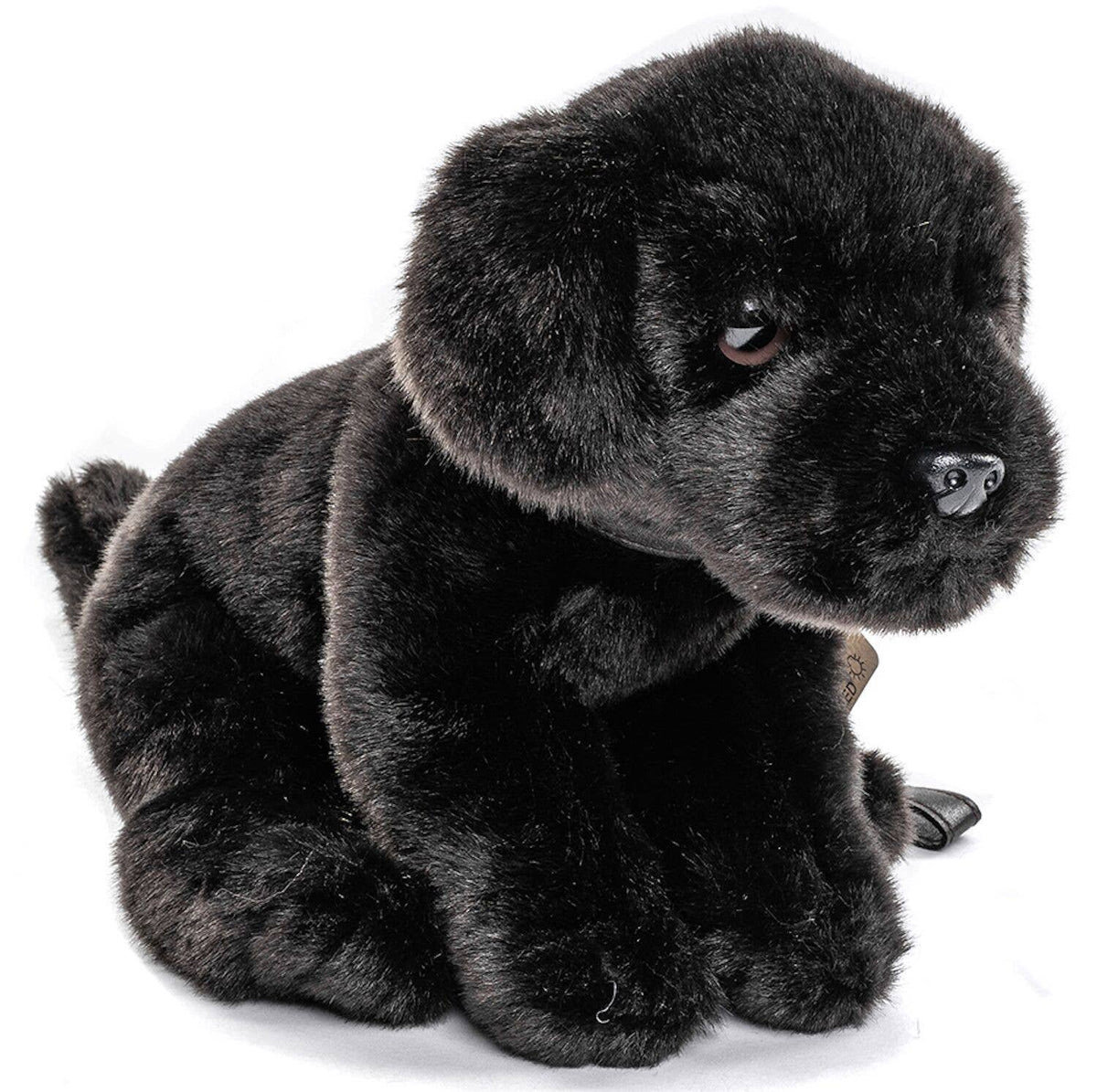 Labrador puppy (black), with leash - cuddly/plush toy