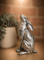 Silver Moon - Hare Moon Gazing