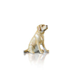 Labrador