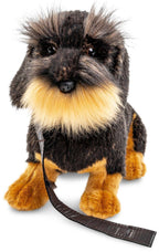 Wire-haired dachshund, sitting (with leash) - cuddly/plush toy