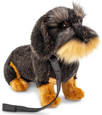 Wire-haired dachshund, sitting (with leash) - cuddly/plush toy