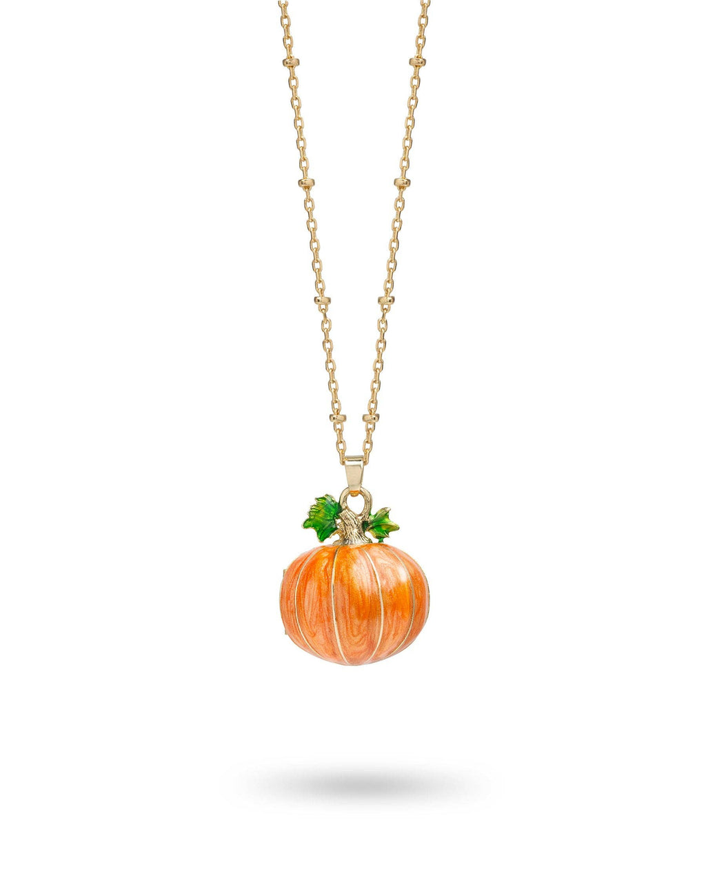 Hedgehog & Pumpkin Locket