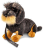 Wire-haired dachshund plush toy with collar and lead