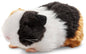 Fluffy 20cm guinea pig plush toy