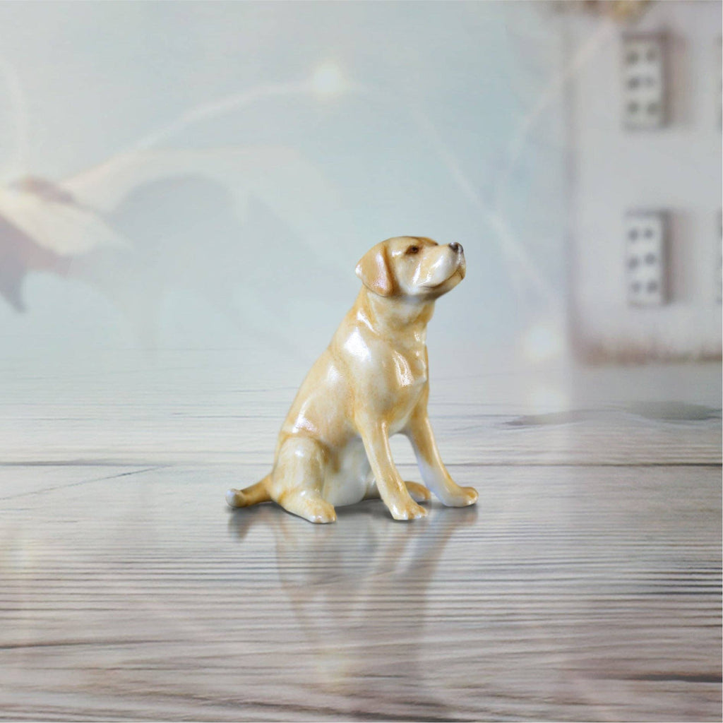 Labrador