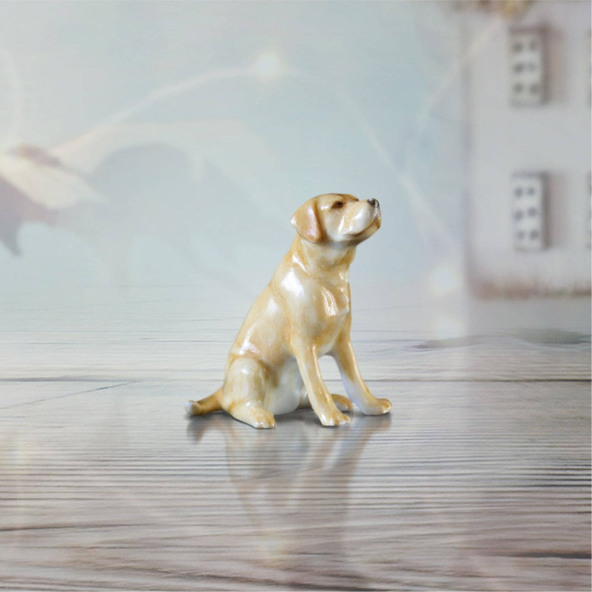 Labrador