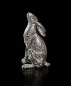 Silver Moon - Hare Moon Gazing